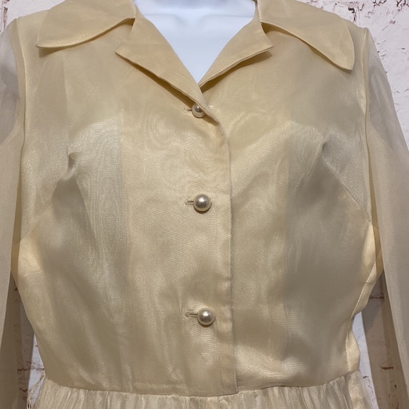 ✨VINTAGE✨ 1960’s Alden’s Organza Dress, Size S - Picture 5 of 9